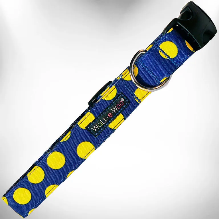 Polka Dot Dog Collars, Leads, and Bows on Blue - 5 Styles